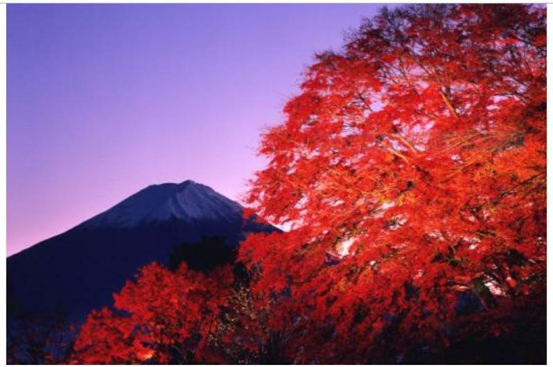 Erable Mt.Fuji "Kaze" Villa Fujikawaguchiko Exterior photo